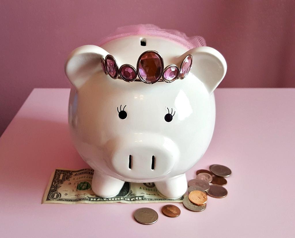 financial literacy/budget allocation